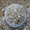 0.5 Pound Natural Semi Tumbled Gemstone Chips, Crushed Mini Crystals, Undrilled Crystal Chips (Yellow Calcite) view 2