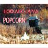 Microwave Popcorn Individual Mini Bags, Homestyle, Japanese Sea Salt, Gluten Free Non GMO Pack of 10 view 4