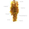 Munakka Raisins, Whole Natural Premium Seedless Golden Raisins, Premium Dried Grapes | No Added Colours or Preservatives | Premium Kishmish | 200 grams view 4