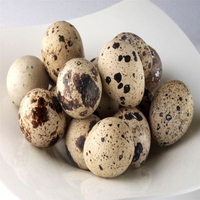 Manchester Farms Quail Eggs, All Natural, 90 Count, Fresh, Certified Humane, Gourmet Ingredient