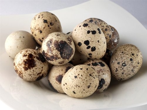 Manchester Farms All Natural Quail Eggs, Certified Humane, 180 Count, Fresh and Versatile, Rich Concentrated Flavor, Ideal for Appetizers, Salads, and Pickling, Premium Quality for Chefs