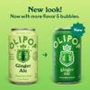 OLIPOP Prebiotic Soda Pop, Ginger Ale, Pantry Pack Packed with Prebiotics, Fiber, and Botanicals, Gluten Free, GMO Free, 12oz (12-Cans) view 2