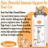 Lysine for Cats Micro Granulated L-lysine Supplement Immune Support, L Lysine Kitten Eye Sneezing, Runny Nose Relief, Squinting, Watery Eyes, Llysine Silicon Dioxide Free 5.3OZ view 2