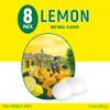 Les Anis de Flavigny Candy Mints, The French Mints, Vegan, Non-GMO, Made in France, Lemon Flavor, 40g Box, 8-Pack view 3