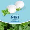 Les Anis de Flavigny Candy Mints, The French Mints, Vegan, Non-GMO, Made in France, Mint Flavor, 40g Box, 2-Pack view 4