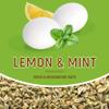 Les Anis de Flavigny Candy Mints, The French Mints, Vegan, Non-GMO, Made in France, Lemon and Mint Flavors, 40g Box, 2-Pack view 4