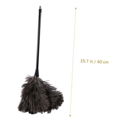 Anneome 2pcs Long Handled Ostrich Duster for Dust Removal Natural Cleaning Tool for Home Office and Car Lightweight Hard Reach Areas