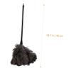 Anneome 2pcs Long Handled Ostrich Duster for Dust Removal Natural Cleaning Tool for Home Office and Car Lightweight Hard Reach Areas view 1