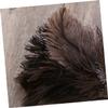 Anneome 2pcs Long Handled Ostrich Duster for Dust Removal Natural Cleaning Tool for Home Office and Car Lightweight Hard Reach Areas view 3