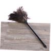 Anneome 2pcs Long Handled Ostrich Duster for Dust Removal Natural Cleaning Tool for Home Office and Car Lightweight Hard Reach Areas view 4