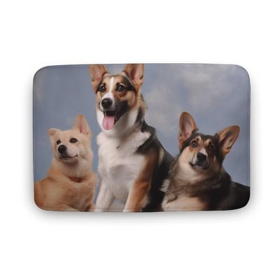 Bathroom Rugs Dogs Bath Mat Non-Slip Shower Mat Bathtub Mats Absorbent Coral Velvet Bath Rugs Floor Mat for Bathroom Floor, Tub and Shower 31.5x19.7 Inch