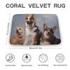 Bathroom Rugs Dogs Bath Mat Non-Slip Shower Mat Bathtub Mats Absorbent Coral Velvet Bath Rugs Floor Mat for Bathroom Floor, Tub and Shower 31.5x19.7 Inch view 2
