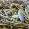 100g / 0.22lbs Genuine Moroccan Olive leaves dried RAW MATERIAL view 3
