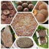Eats- Organic Sprouted Ragi Flour for Kids & Adults In Food-Grade Container, Rich Healthy Meal for adults | Nutrient-rich food- 400 gms (+6 months) view 2