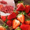 KWOLYKIM Freeze Dried Fruit Strawberry Pieces Dried Fruits Snack Crispy Diced Strawberry Fruits 100% Natural & No Additives (Strawberry 200g) view 2