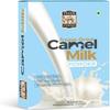 Camel Milk Powder - Camel Milk Powder for Height Growth - Freeze Dried 20gms x5 Pouch | 100 GMS view 1
