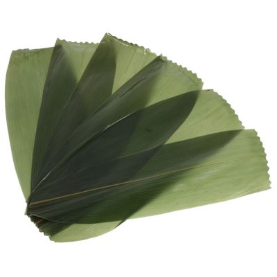 AUTSUPPL 100pcs Bamboo Leaves Sushi Tray Decor Realistic Fake Leaves for Sashimi Photography and Japanese Cuisine Presentation Natural Sushi Decoration Grass for Parties and Gatherings