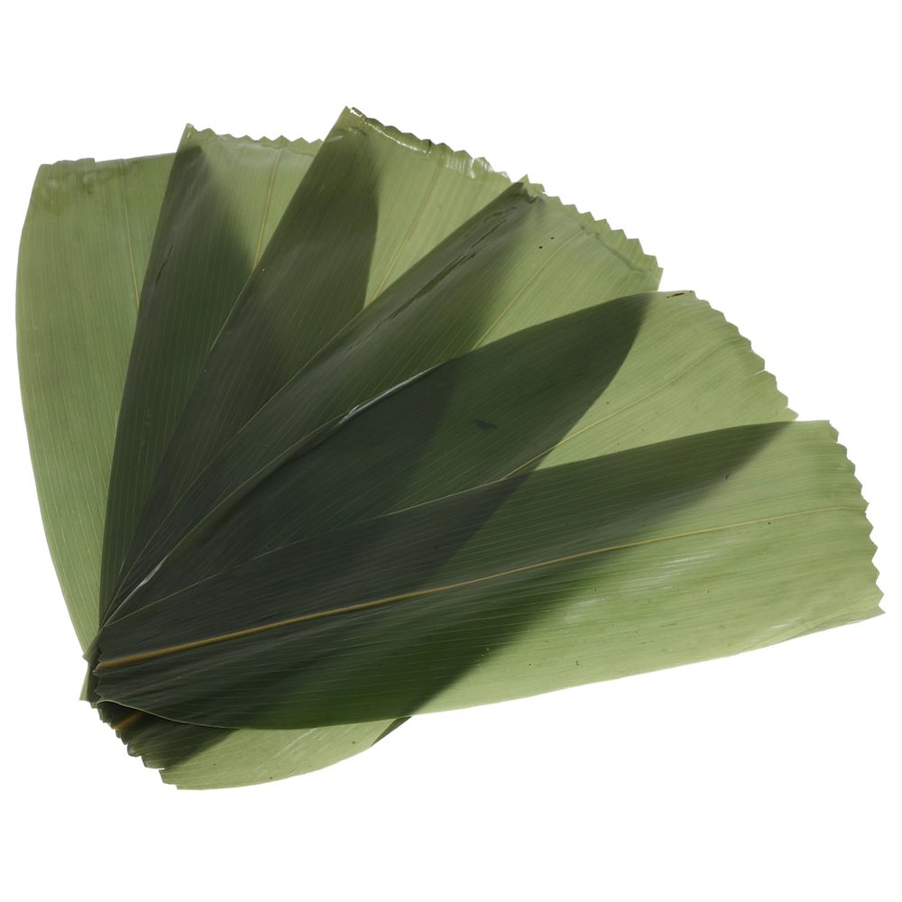 AUTSUPPL 100pcs Bamboo Leaves Sushi Tray Decor Realistic Fake Leaves for Sashimi Photography and Japanese Cuisine Presentation Natural Sushi Decoration Grass for Parties and Gatherings