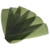 AUTSUPPL 100pcs Bamboo Leaves Sushi Tray Decor Realistic Fake Leaves for Sashimi Photography and Japanese Cuisine Presentation Natural Sushi Decoration Grass for Parties and Gatherings view 1