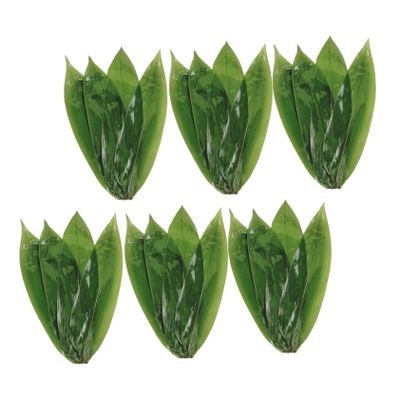 Garneck 50pcs Bamboo Leaves for Sushi and Food Decoration Traditional Bamboo Leaves for Rice Dumplings Japanese Cuisine and Table Display