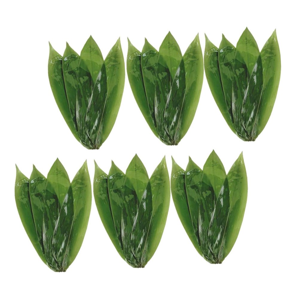 Garneck 50pcs Bamboo Leaves for Sushi and Food Decoration Traditional Bamboo Leaves for Rice Dumplings Japanese Cuisine and Table Display