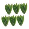 Garneck 50pcs Bamboo Leaves for Sushi and Food Decoration Traditional Bamboo Leaves for Rice Dumplings Japanese Cuisine and Table Display view 1