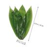 Garneck 50pcs Bamboo Leaves for Sushi and Food Decoration Traditional Bamboo Leaves for Rice Dumplings Japanese Cuisine and Table Display view 2