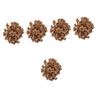 Garneck 5packs Brewing Supply Oak Chips for Whiskey Aging Wine Supplies Equipment view 1