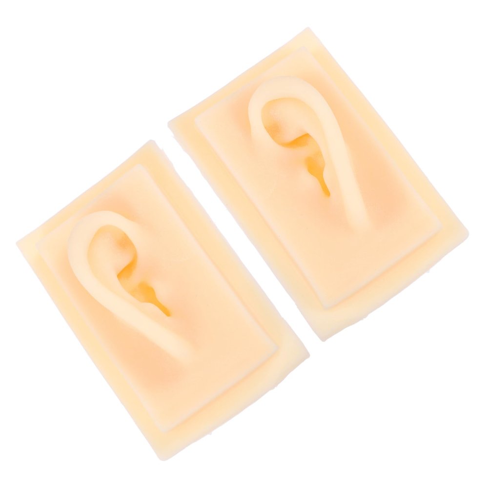 1 Pair Human Ear Models Realistic Simulation Ear for Teaching Use