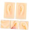 1 Pair Human Ear Models Realistic Simulation Ear for Teaching Use view 4
