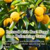 TOMOSAN Yuzu Mochi Candy, Traditional Japanese Citrus Sweets with Yuzu Paste, Soft & Chewy (300g / 10.58oz) view 3