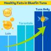 Bluefin Tuna Tarantelo in Olive Oil - 4.23 oz (120g) | Premium Gourmet Tuna by HERPAC (6-Pack) view 3