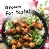 4Sisters - Premium Long Grain Aromatic Jasmine White Rice - Sustainably Grown - Women Owned - Farm to Table (5 lb) view 2