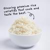 4Sisters - Premium Long Grain Aromatic Jasmine White Rice - Sustainably Grown - Women Owned - Farm to Table (5 lb) view 3
