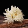 100% Gongju Chrysanthemum 30g/1.05oz Chrysanthemum Tea, , Dried Whole Chrysanthemum Bulk Herbal Tea, view 4
