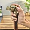 37-Inch Wooden Walking Stick with Brass Dog Bull Handle, Unisex Mobility Cane view 2