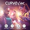CURVD Live Stylish High-Fidelity Concert Earplugs, Festivals & Live Events 19 dB Noise Reduction, 5 Tip Sizes & Carry Case view 3