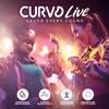 CURVD Live Stylish High-Fidelity Concert Earplugs, Festivals & Live Events 19 dB Noise Reduction, 5 Tip Sizes & Carry Case view 3