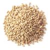 Food to Live Organic Soft White Wheat Berries, 1.5 Pounds  Premium Non-GMO Whole Grain Wheat for Milling, Sprouting, Cooking and Baking Bread. Kosher view 3