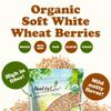 Food to Live Organic Soft White Wheat Berries, 1.5 Pounds  Premium Non-GMO Whole Grain Wheat for Milling, Sprouting, Cooking and Baking Bread. Kosher view 4