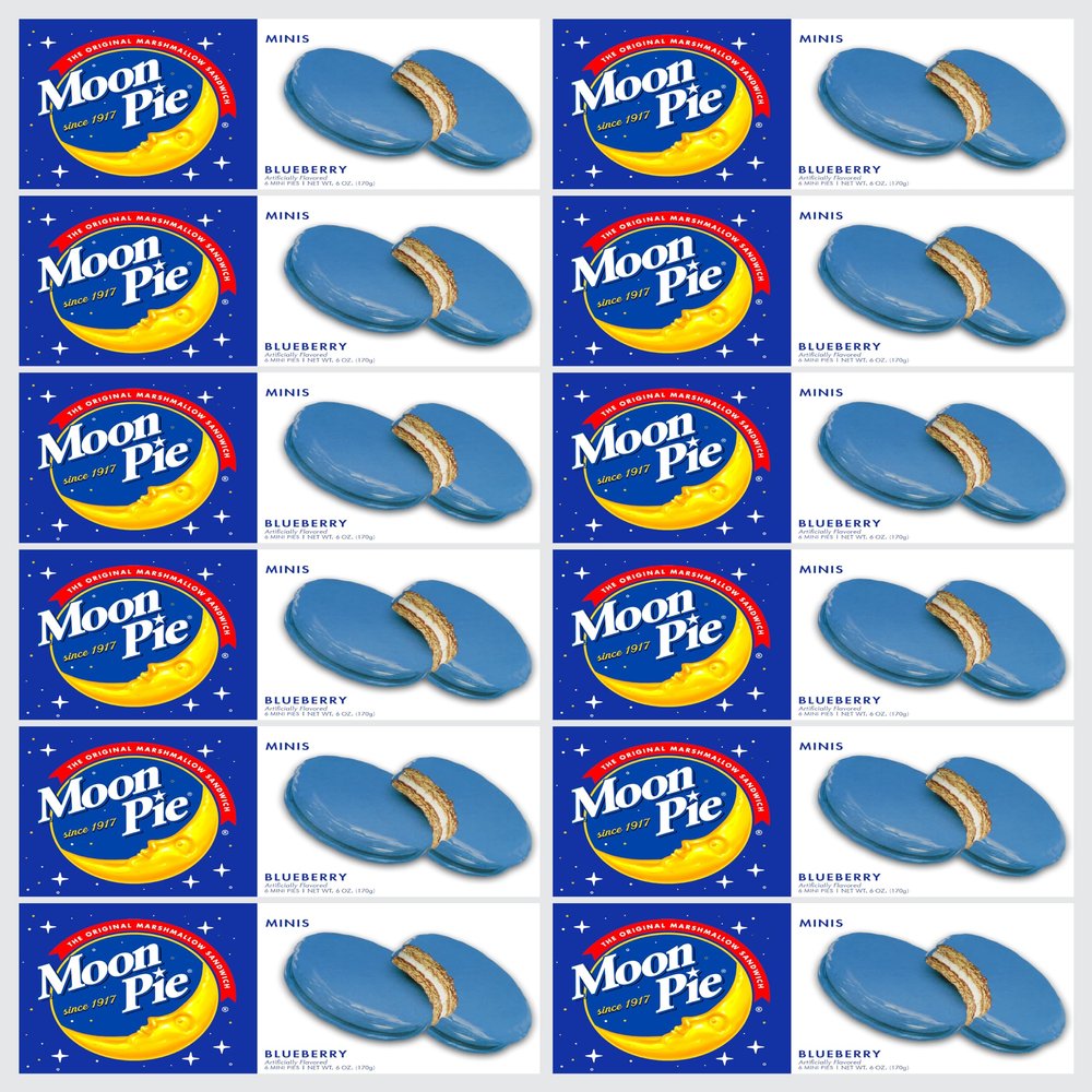 Marshmellow-Cookies Bulk 72 Individually Wrapped Moon Pie 12 Boxes 6 Each Box Case lot x 1 (Blueberry) Business discounts for bulk quantities