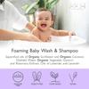 SoCal Suds & Company 2oz Organic Foaming Baby Wash & Shampoo - Lavender view 2