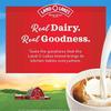 Pogalight, Land Coffee Creamer Mini Moos Half & Half Creamer Singles, 192 Count view 4