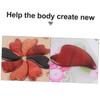 FOMIYES 3pcs Guasha Massage Tool Face Beauty Massager Skin Scraping Board Wooden Massaging Plate view 2