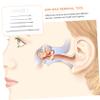 FOYTOKI Stainless Steel Ear Wax Removal Kit 6-Piece Set Box Ear Cleaner for Children and Adults view 4