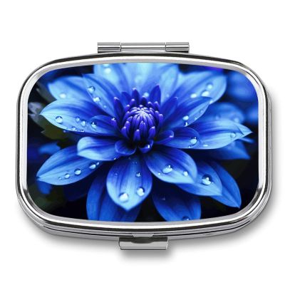 Travel Portable Pill Box with Mirror Blue Flower Printed Rectangular Medicine Box 2 Compartment Medicine Case Vitamin Pill Organizer for Fish Oils Supplements