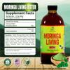 Herb To Body Moringa Bitters Liquid - 16oz, Herbal Blend with Moringa Leaf and Root, Natural Detox and Digestive Bitters for Daily Balance and Vitality view 2