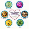 Herb Lore Quiet Cough Tincture - Mullein Leaf Drops for Lungs - Soothes Dry & Productive Coughs - 2 fl oz view 2