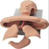 AYGJKIE Intubation Manikin Airway Management Trainer Training Manikin Intubation Head Teaching Study Model Manikin view 1