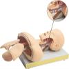AYGJKIE Intubation Manikin Airway Management Trainer Training Manikin Intubation Head Teaching Study Model Manikin view 2